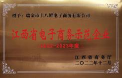 江西省电子商务示范企业